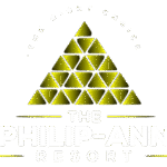 Modern Theme logo